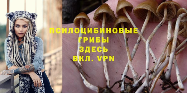 МДПВ Алексин