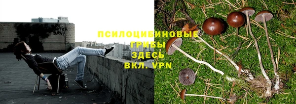 амфетамин Алексеевка