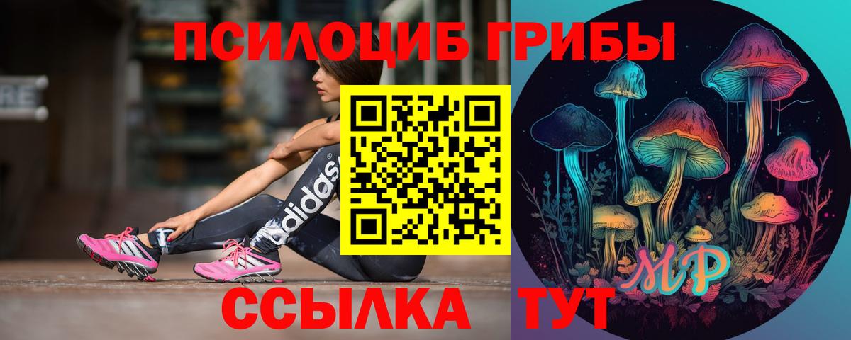 Галлюциногенные грибы Cubensis Владикавказ