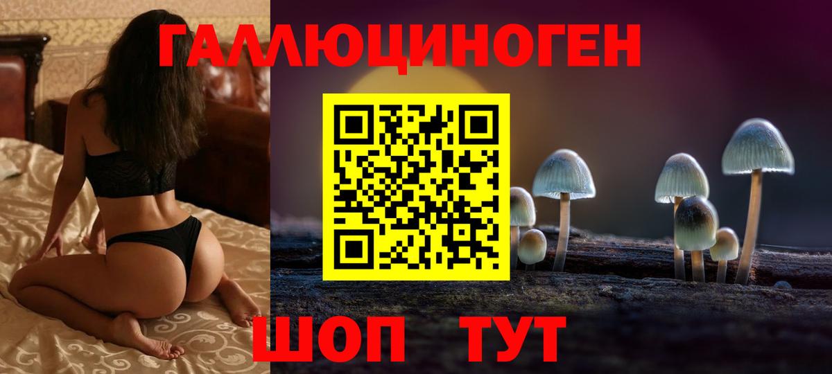 где можно купить   Вход с VPN  Владикавказ  Псилоцибиновые грибы Cubensis 